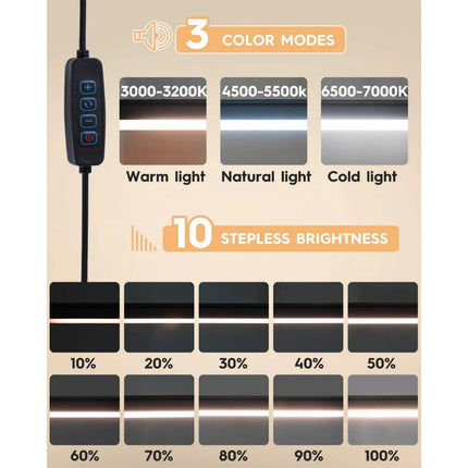 LED Desk Lamp with Clamp 10W