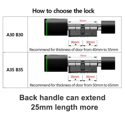 Smart  Lock With Tuya Bluetooth Fingerprint 13.56mhz IC Card Include