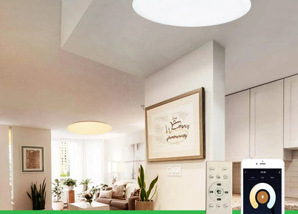 Modern LED Ceiling Lights Bluetooth Speaker Remote Control