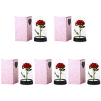 5pcs S1