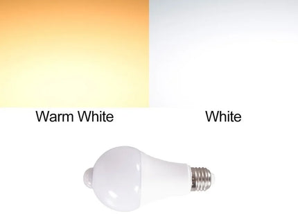 PIR Motion Sensor LED bulb