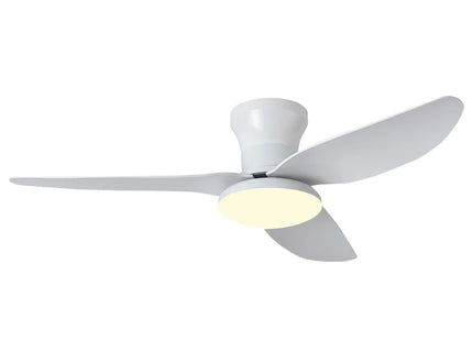 Bedroom Ceiling Fan Light