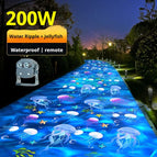 200w outdoor remote