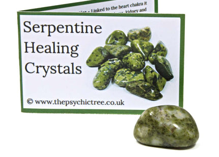 Serpentine Polished Crystal & Guide Pack