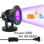 30w  US  Plug / 405nm