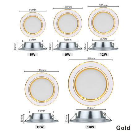 220V Ceiling Light