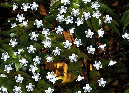 Solar Garden Light Flower Outdoor Solar
