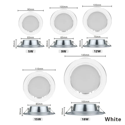 220V Ceiling Light