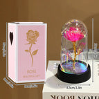 B4
