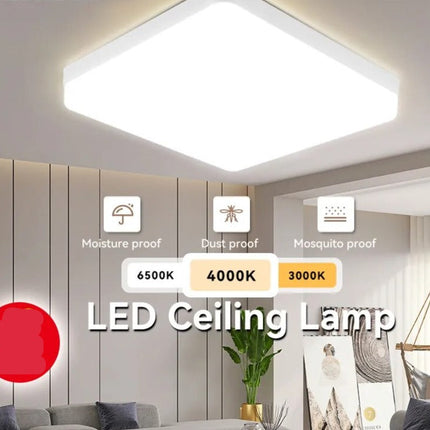 LED Ceiling Lamp