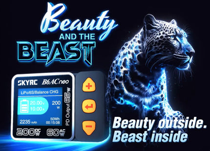 SkyRC B6 AC neo AC/DC 200W Charger