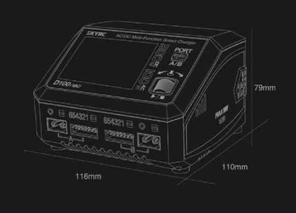 SkyRC D100neo AC/DC Multi-Function Smart Charger