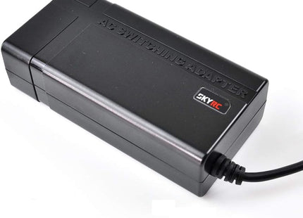 SkyRC 15V 4A 60W AC Power Adaptor