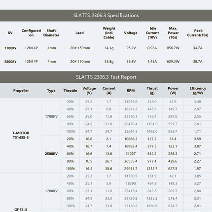 TMotor Slatts 2306.3 Motor