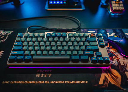 Tai-Hao PBT Keycap Set - Dark Tunnel