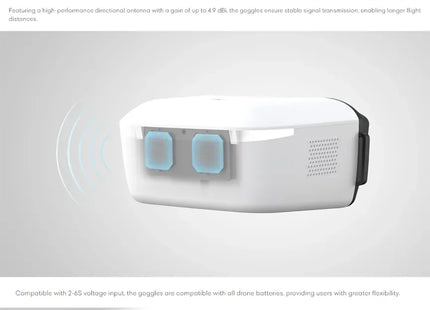 Caddx / Walksnail Avatar HD FPV Goggles L