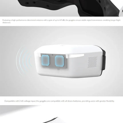 Caddx / Walksnail Avatar HD FPV Goggles L