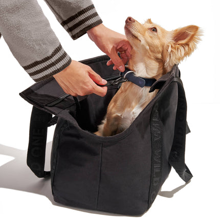 Cotton Everyday Carrier