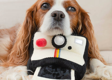Instant Camera dog enrichment toy