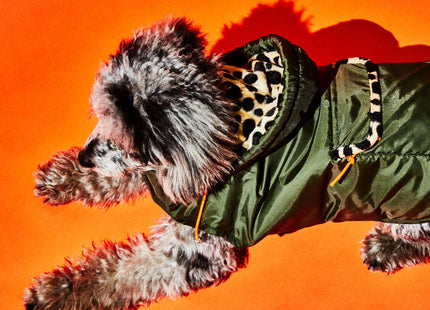 Olive & Animal Print Trim Puffer Jacket