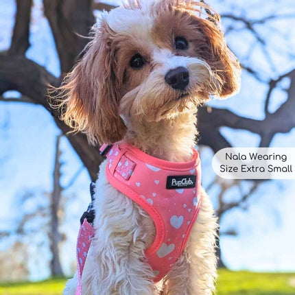 Adjustable Harness - Peachy Hearts