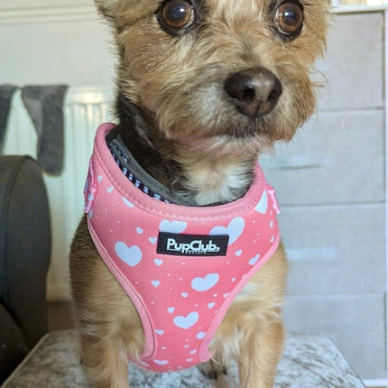 Adjustable Harness - Peachy Hearts