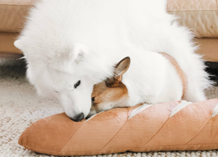 Giant Baguette enrichment dog toy