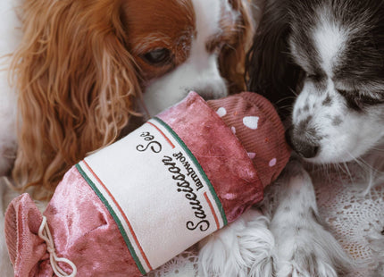 Saucisson Enrichment Dog Toy