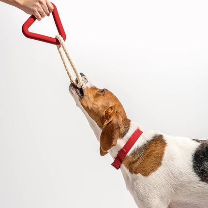 Triangle Tug Dog Chew Toy