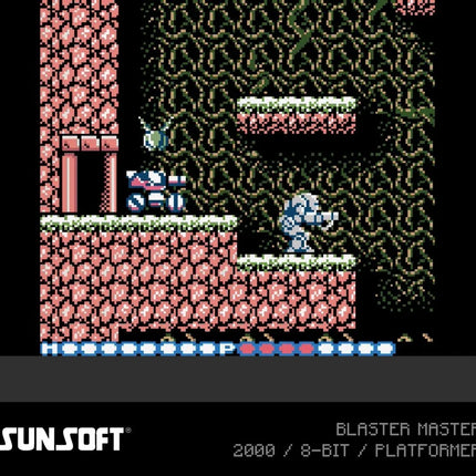Evercade Sunsoft Collection 2 – Cartridge