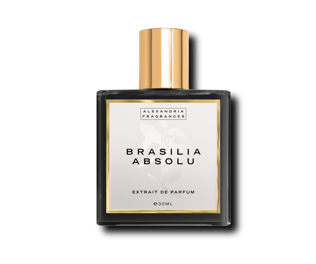 Brasilia Absolu