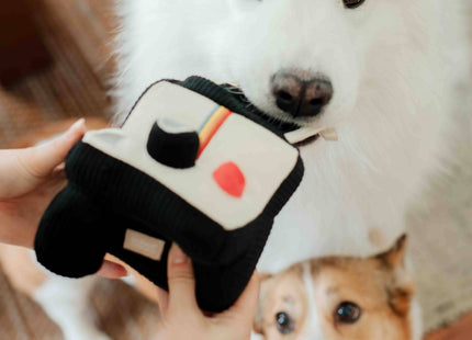 Instant Camera dog enrichment toy