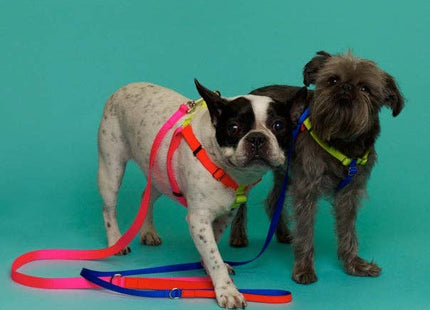 Nylon Colour Block Harness - Pink, Orange & Yellow