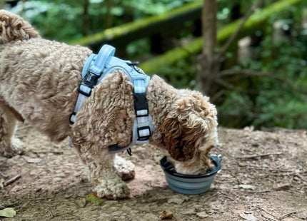 PCC - Collapsible Dog Bowl - Grey