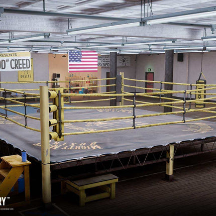 Creed Rise to Glory PSVR PS4