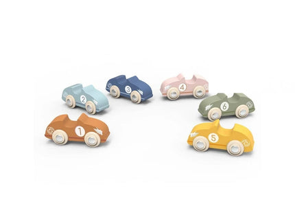 Speedy Monkey Racing Cars