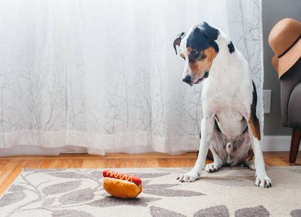 American Classic Hot Dog Enrichment Toy