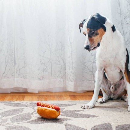 American Classic Hot Dog