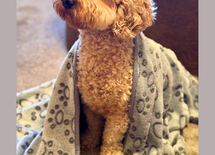 Dog Blanket - Grey Paws