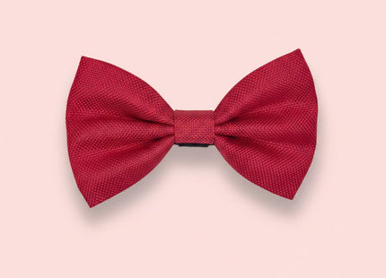 Dog Bow Tie - Berry Red
