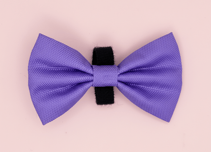 Dog Bow Tie - Lilac Blush