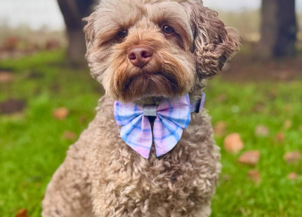 Dog Sailor Bow -  Pink Tartan
