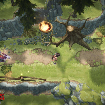 Dragons Dawn of New Riders Nintendo Switch