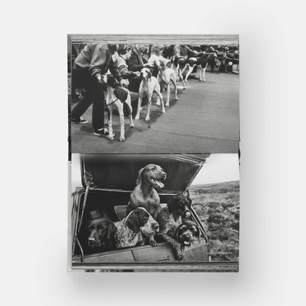 DogsDogs by Elliott Erwitt