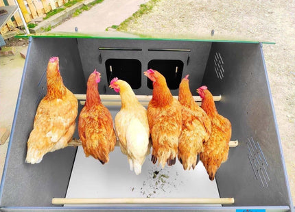 Easicoop Chalet 4XL - HPL Chicken house up to 20 large Birds (wood finish)