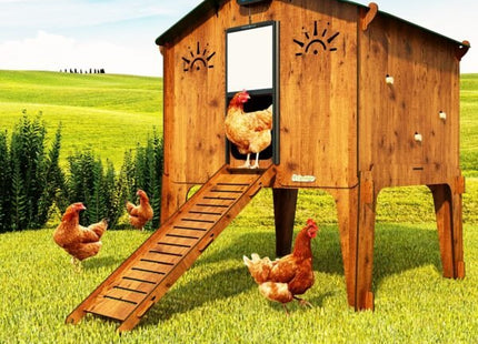 Easicoop Duplex 2XL - HPL Chicken house up to 18 large Birds