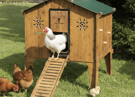 Easicoop Duplex 2XL - HPL Chicken house up to 18 large Birds