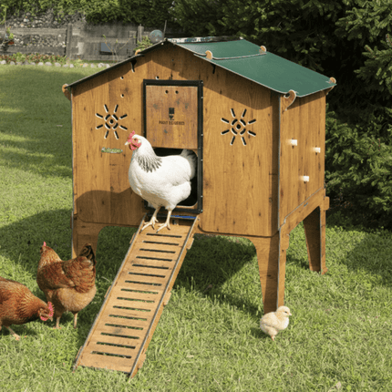 Easicoop Duplex 2XL - HPL Chicken house up to 18 large Birds