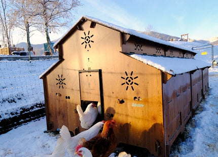 Easicoop Farm Plus 6XL modular expandable Chicken house 24 Large Birds
