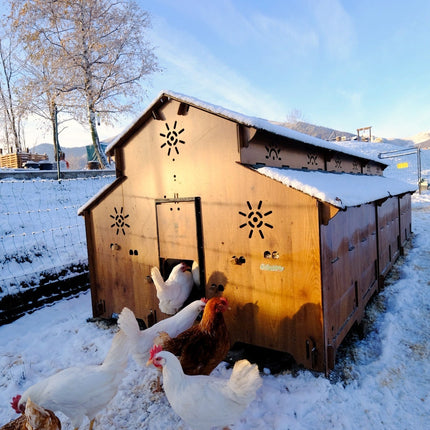Easicoop Farm Plus 6XL modular expandable Chicken house 24 Large Birds